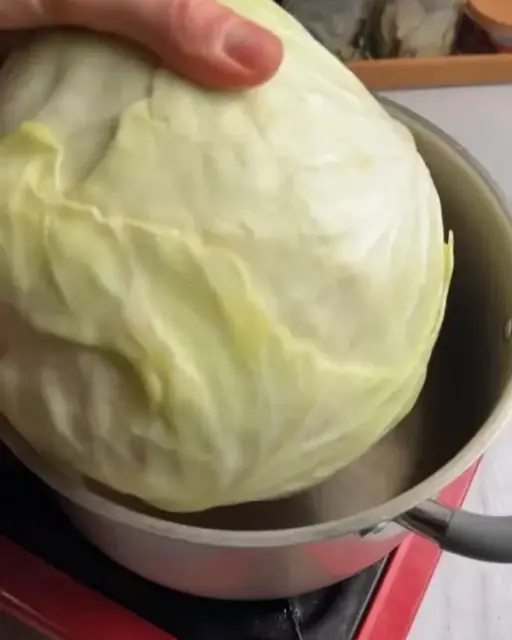 Roulés de chou farcis au bœuf