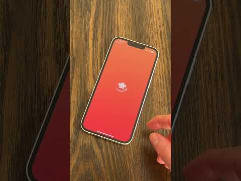 Guarda receitas do TikTok com a Rosie